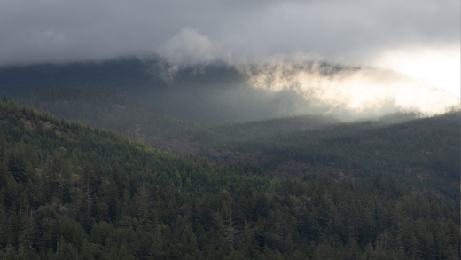 2025 OPEN SPACE Series