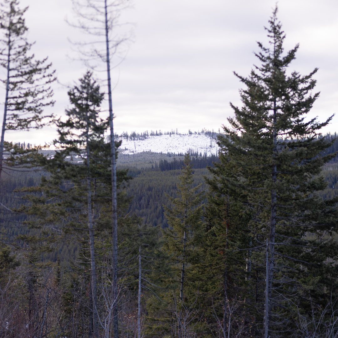 Live Deeply + Explore Well – Okanagan Lifestyle's Winter Guide