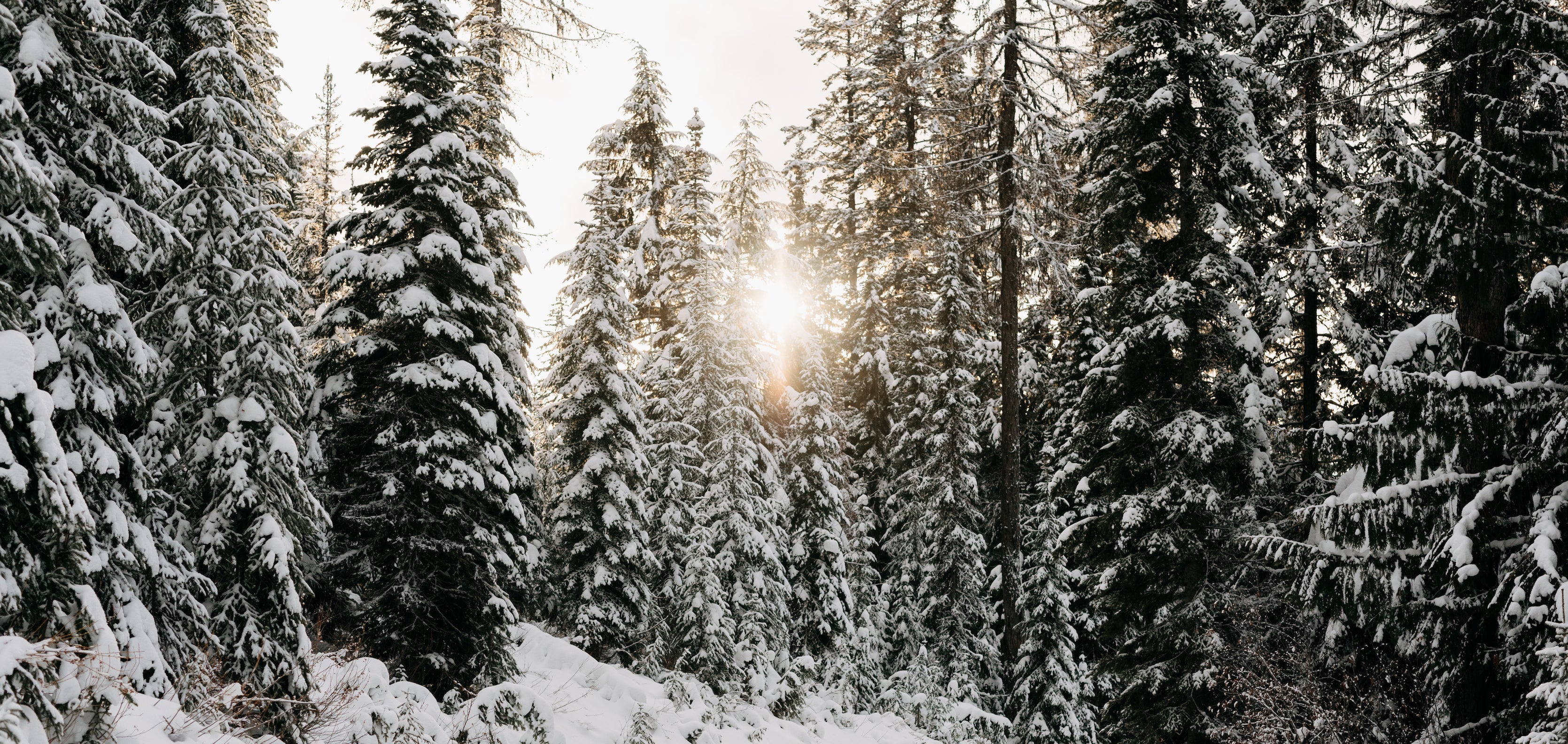 4 Icons | Winter Snowflake