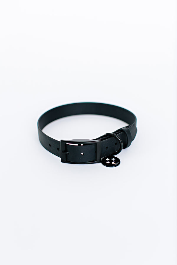 4 Icon Dog Collar