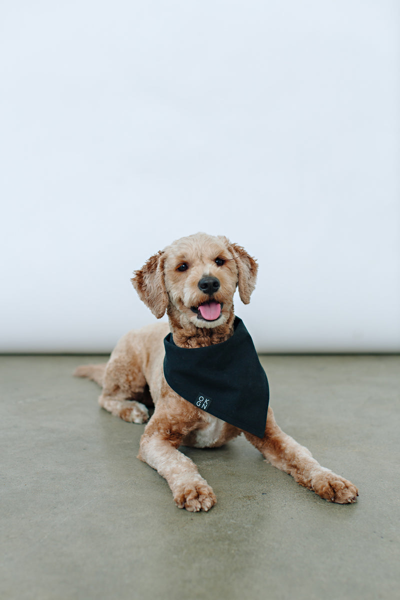 OKGN Dog Bandana