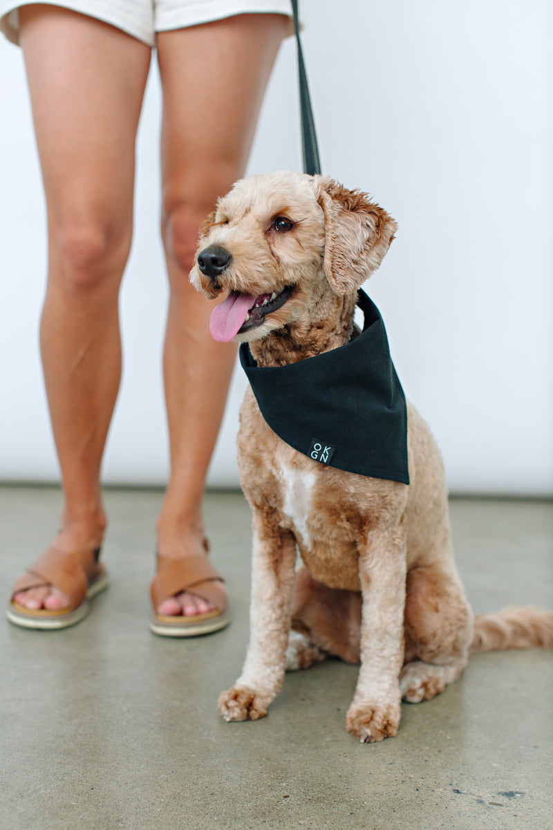 OKGN Dog Bandana