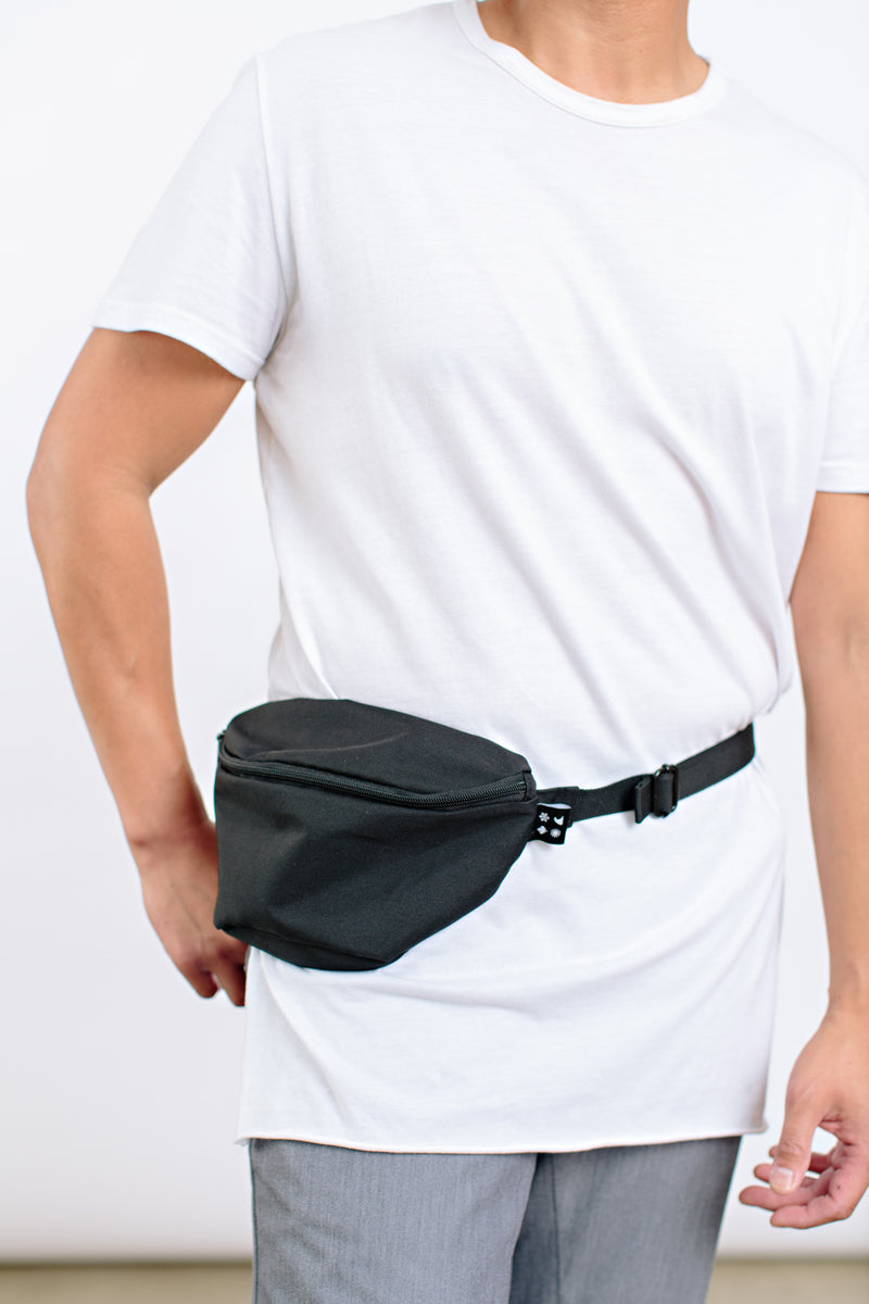 4 Icon Waist Pack