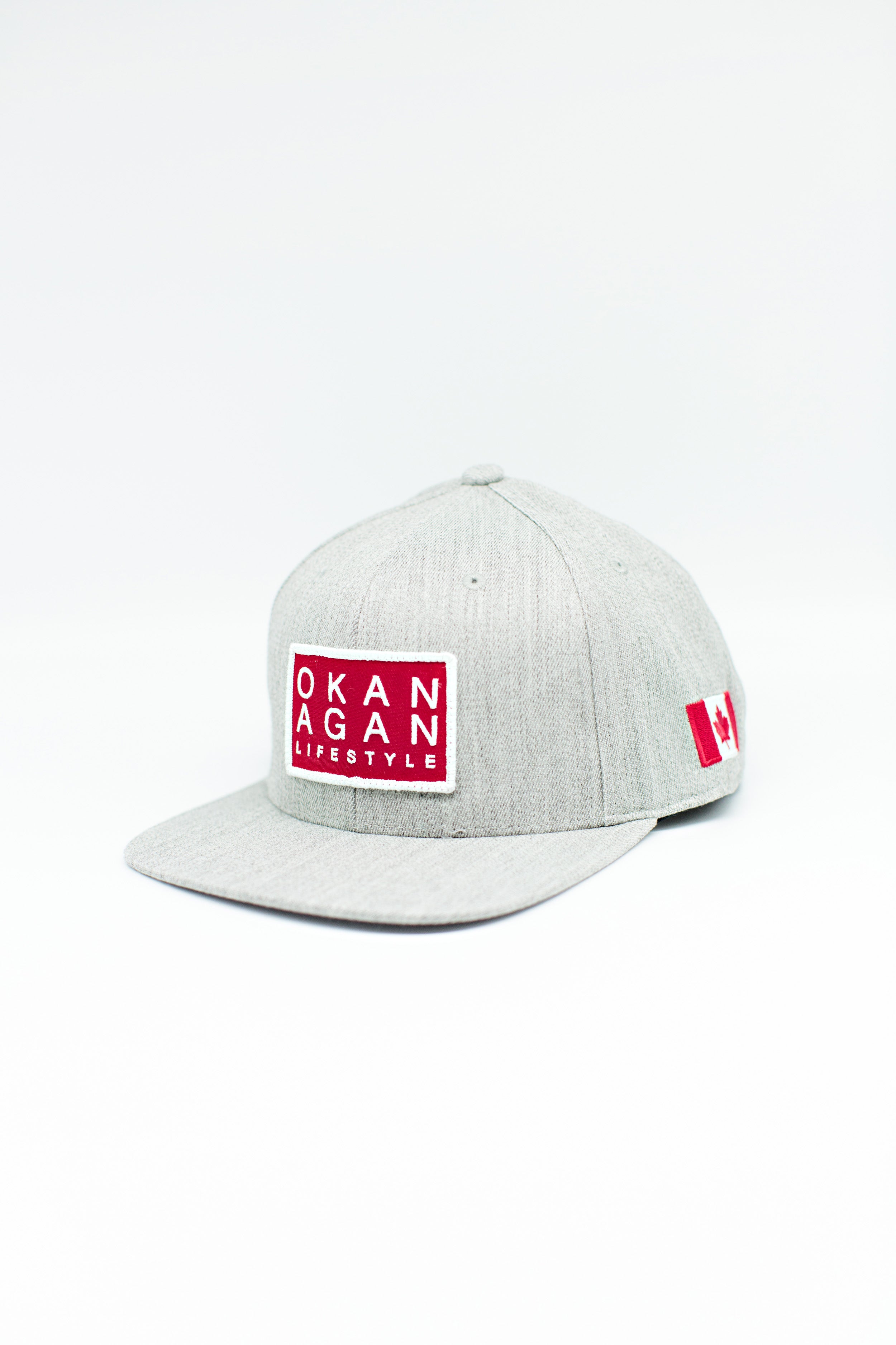 Mainstreet Grey Snapback-2